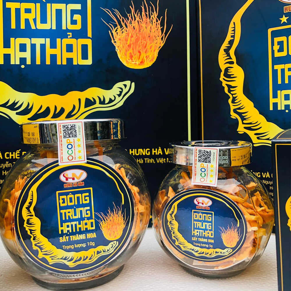 Đông Trùng Hạ Thảo Hưng Vân sấy thăng hoa - Lọ 10gr (1)