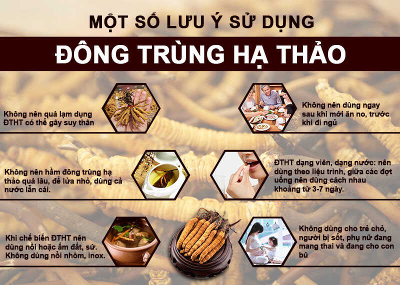 Đông Trùng Hạ Thảo Hưng Vân sấy thăng hoa - Lọ 10gr (5)