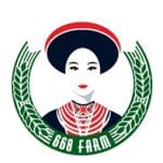 Gạo nếp hương Bảo Lạc - Cao Bằng